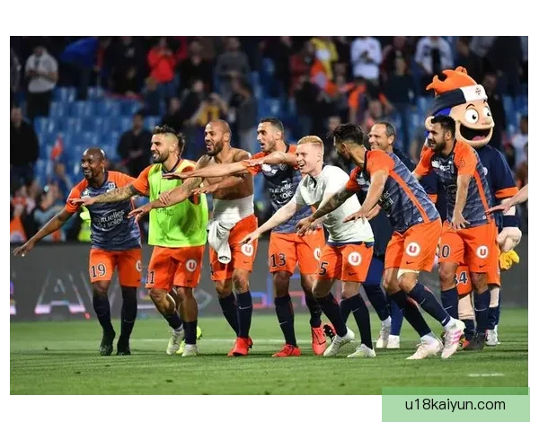 法甲最新积分榜解析，球队表现稳健，竞争格局日益明朗