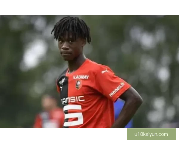 德甲外援更换进度分析及对各队影响评估